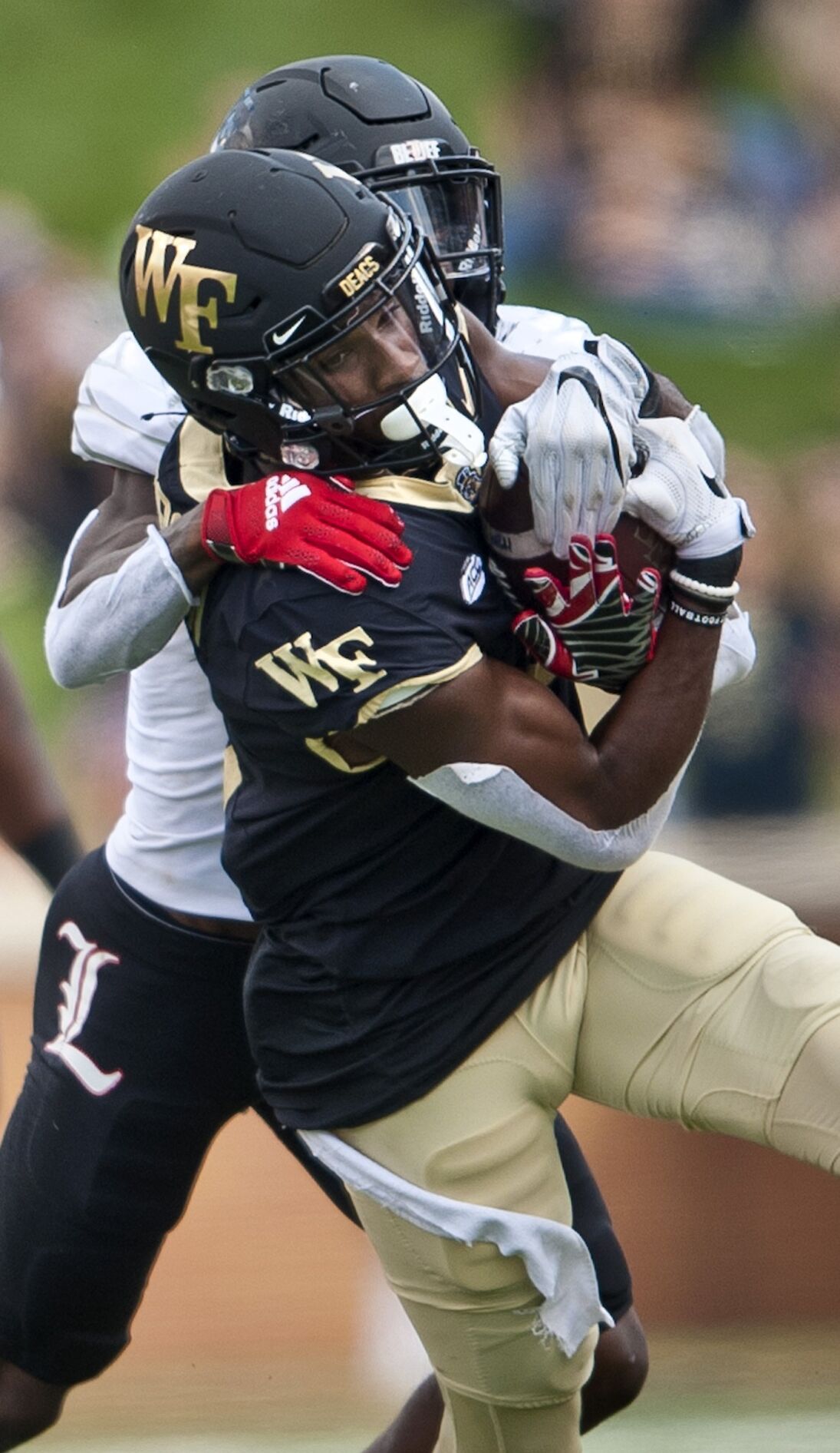 Wake Forest Louisville football